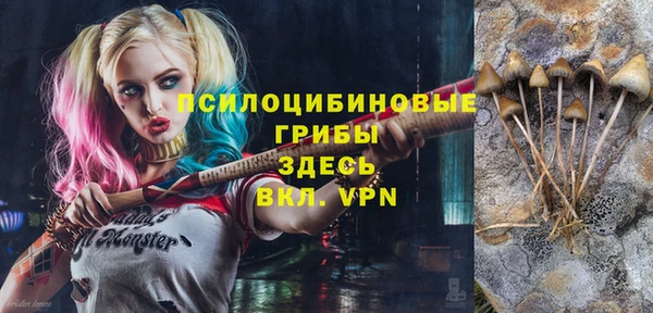 a pvp Покров
