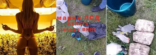 прущие крисы Покровск