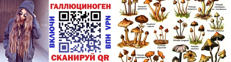 Купить закладки  Покров  Псилоцибиновые грибы мицелий 